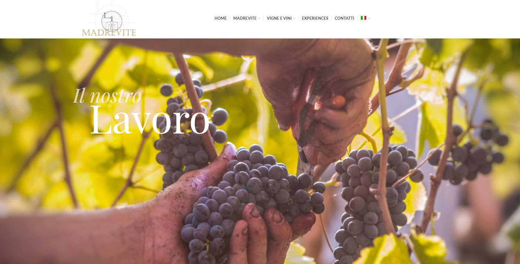 Realizzazione Sito web Cantina Madrevite