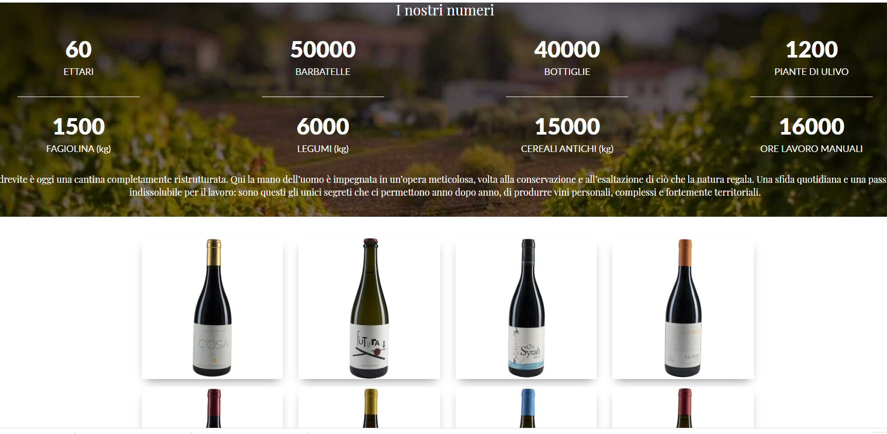 Realizzazione Sito web cantina Madrevite