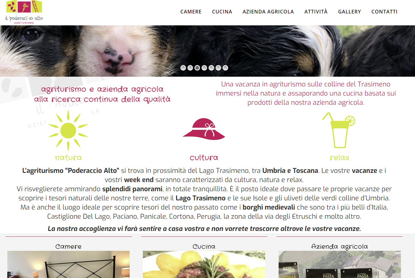 Realizzazione sito web - Poderaccio alto